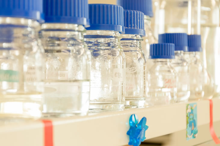 Na cidade de Beja, em pleno coração do Alentejo, o CEBAL desenvolve atividades de investigação contribuindo para uma resposta aos problemas científico/tecnológicos da região onde se insere...