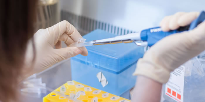 O CEBAL conta com uma equipa qualificada de jovens investigadores, nas áreas da Biotecnologia, Biologia Vegetal, Bioquímica e Engenharia Química...